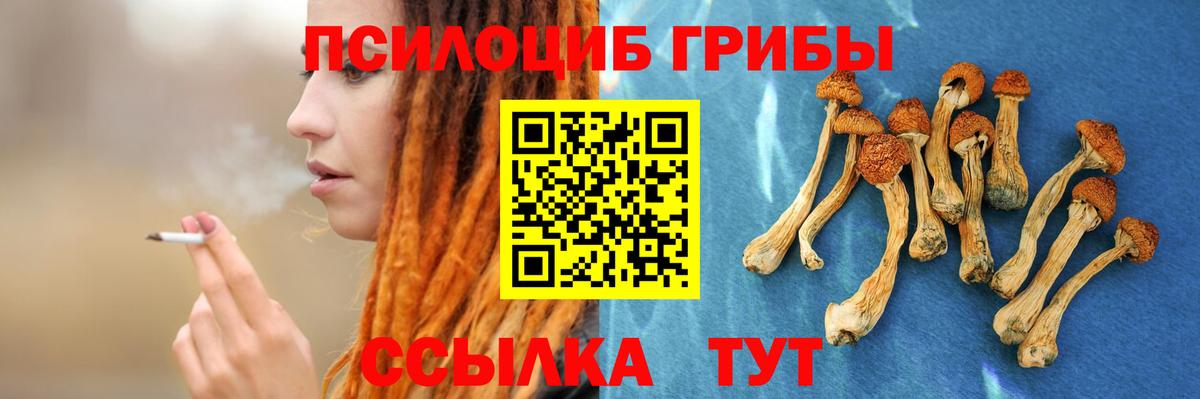 Псилоцибиновые грибы мицелий Зерноград